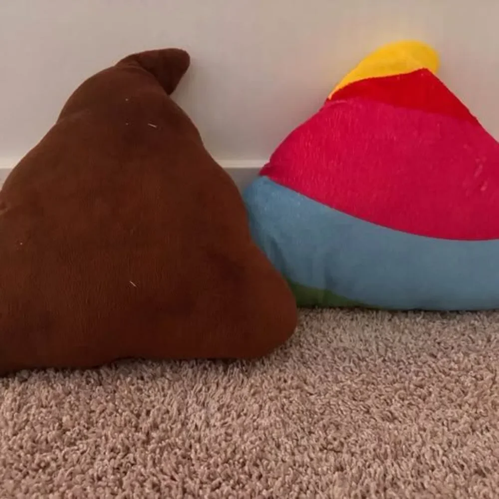 Two Poop Emoji Throw Pillows Rainbow and Brown 💩💩